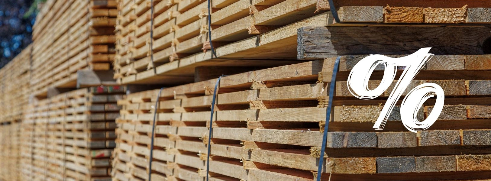 holz %