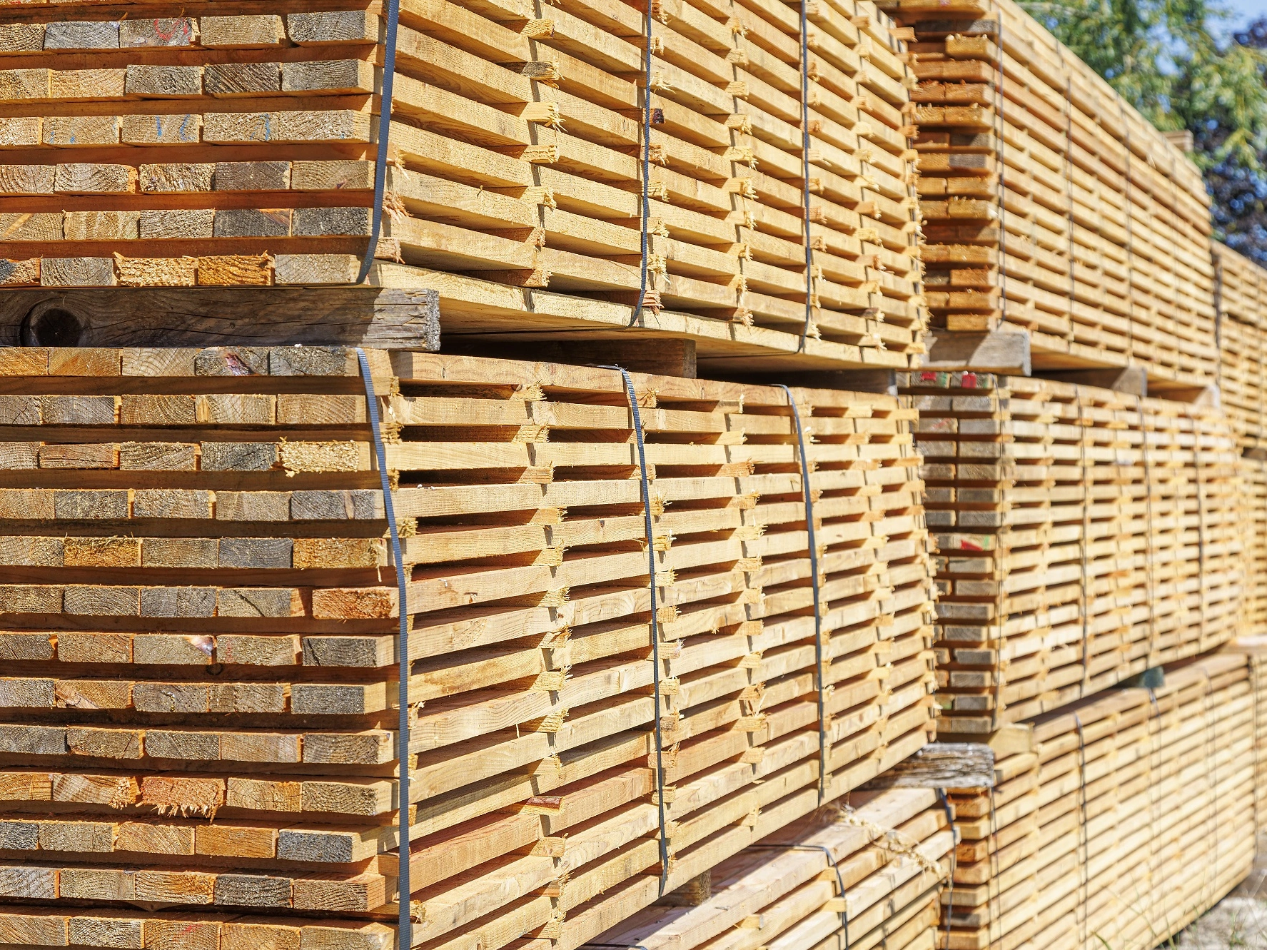 MAAG Holz 065 MAAG Holz 065