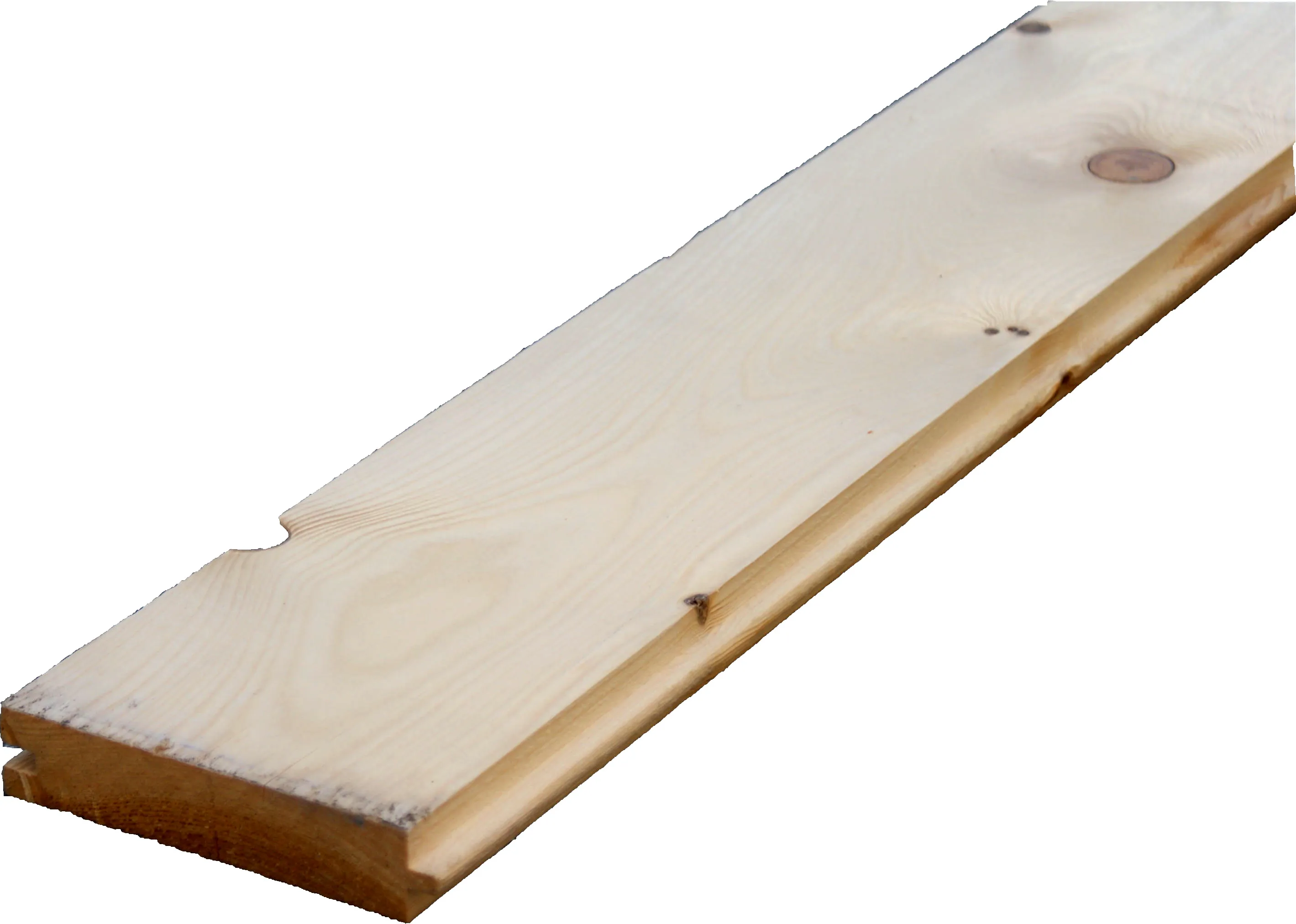 \\10.0.0.10\Daten\Shop\Bilder\Eigene Bilder\Rauhspund.jpg