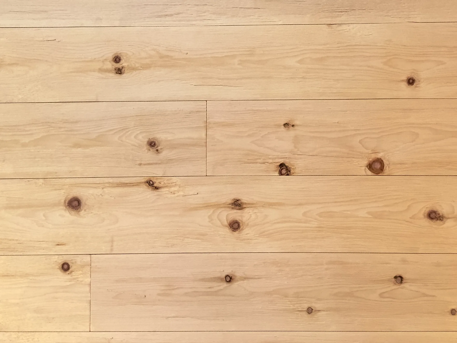 Zirbe gehackt, geb&uuml;rstet, naturbelassen